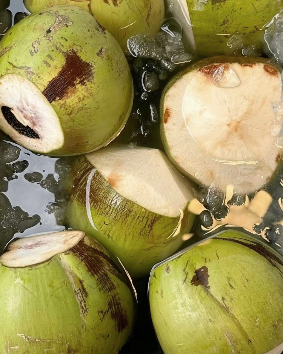 Cocos verdes frescos abiertos con agua y hielo
